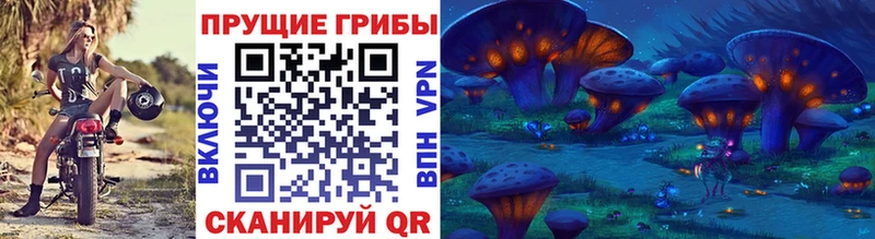 Галлюциногенные грибы Psilocybe  Моршанск 