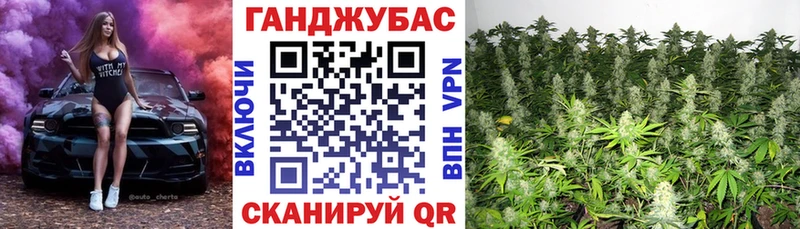 продажа наркотиков  KRAKEN зеркало  Бошки марихуана индика  Моршанск 